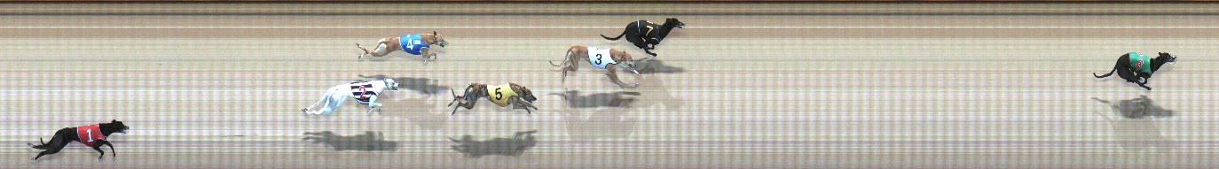 Photo finish for Geelong Race 5