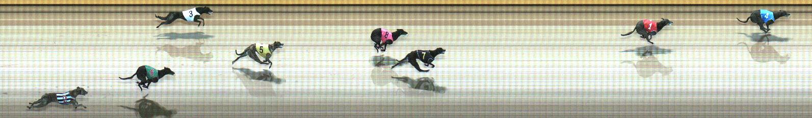 Photo finish for Geelong Race 6