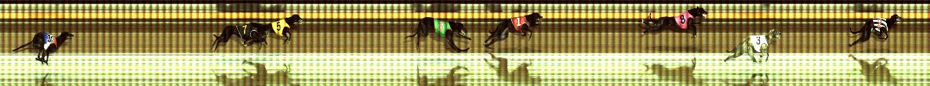 Photo finish for Geelong Race 8