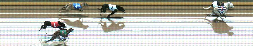 Photo finish for Geelong Race 9