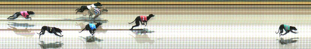 Photo finish for Geelong Race 10