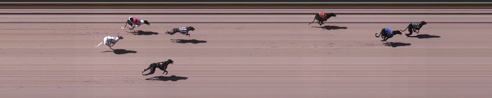 Photo finish for Geelong Race 3