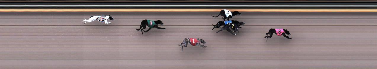 Photo finish for Geelong Race 4