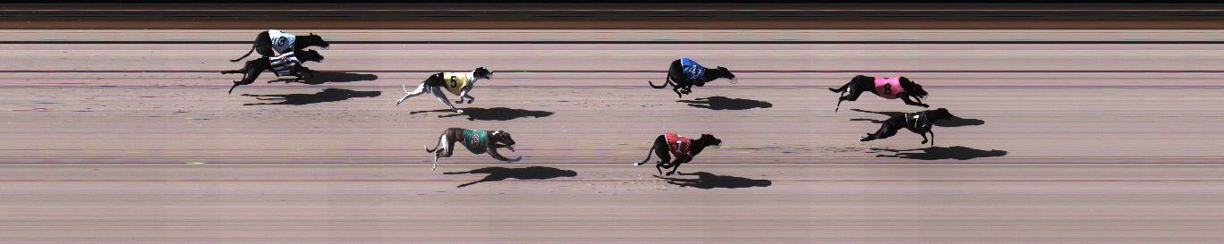 Photo finish for Geelong Race 5
