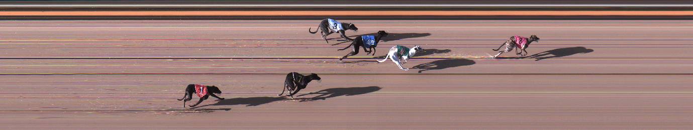 Photo finish for Geelong Race 9