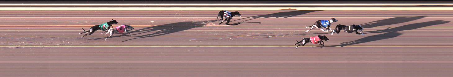 Photo finish for Geelong Race 11