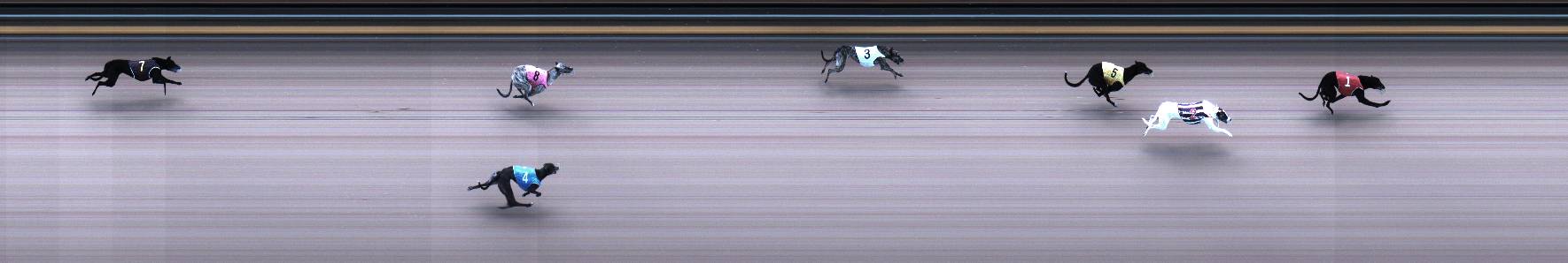 Photo finish for Geelong Race 2
