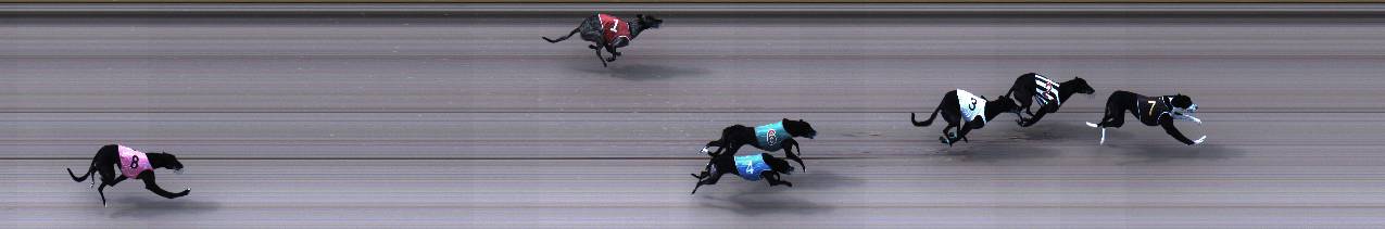 Photo finish for Geelong Race 3