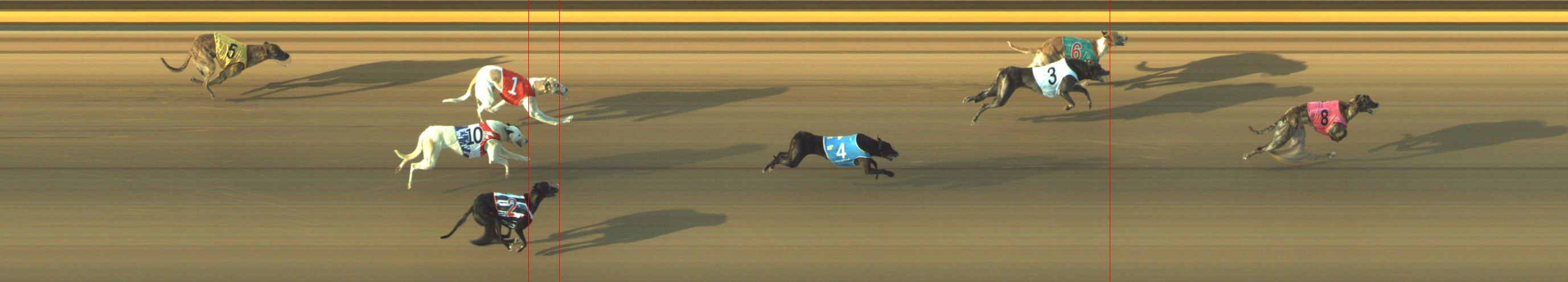 Photo finish for Geelong Race 1