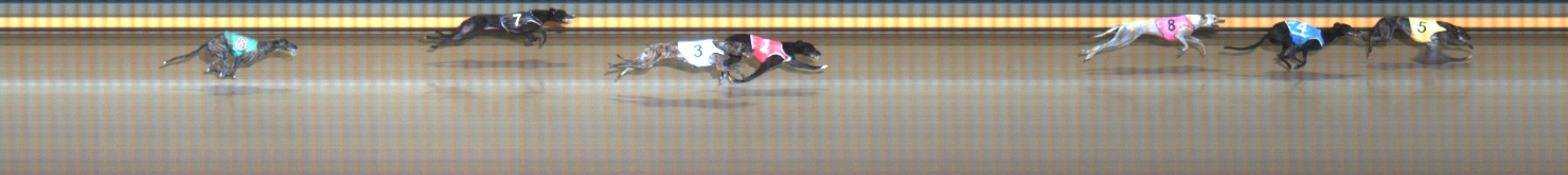 Photo finish for Geelong Race 5