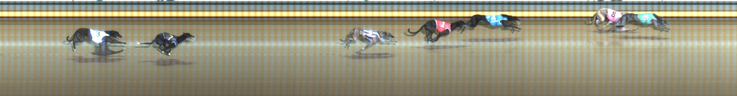 Photo finish for Geelong Race 6