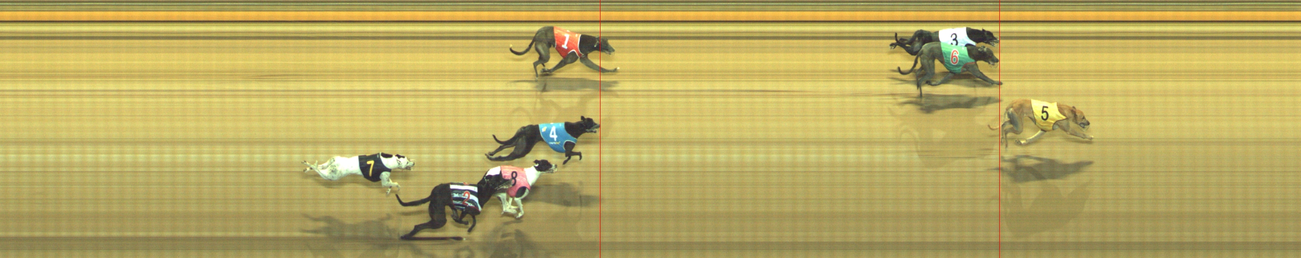 Photo finish for Geelong Race 7