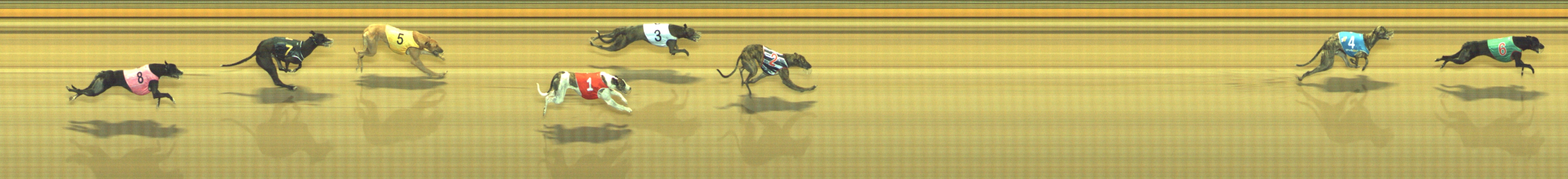 Photo finish for Geelong Race 8
