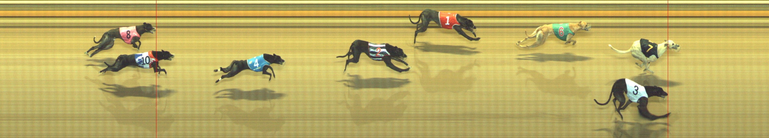 Photo finish for Geelong Race 9