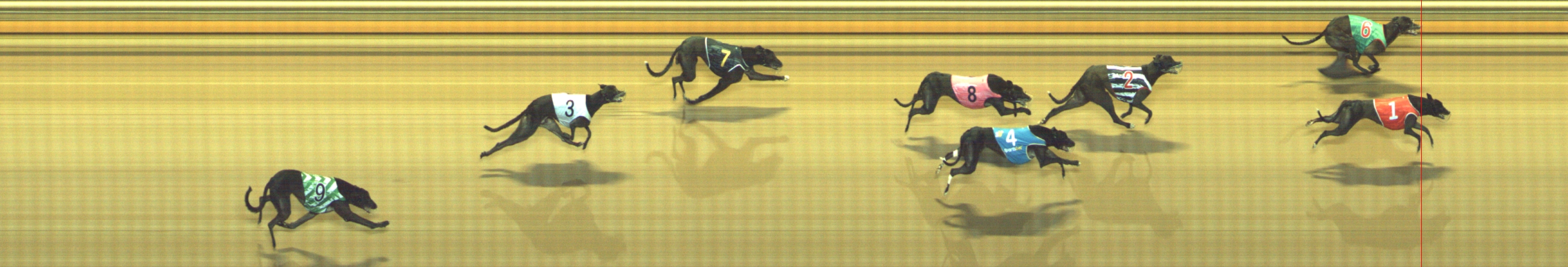 Photo finish for Geelong Race 10