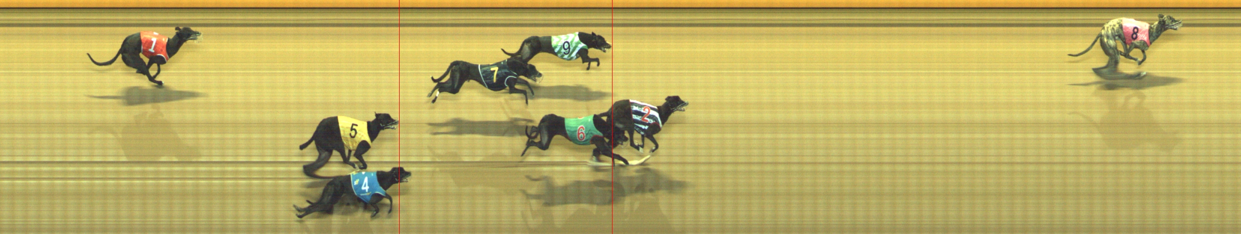 Photo finish for Geelong Race 11