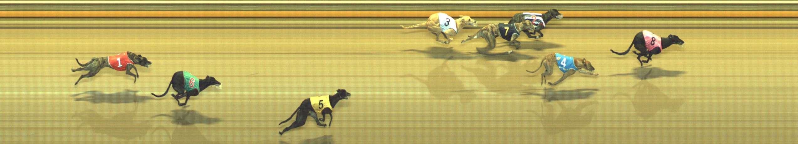 Photo finish for Geelong Race 12