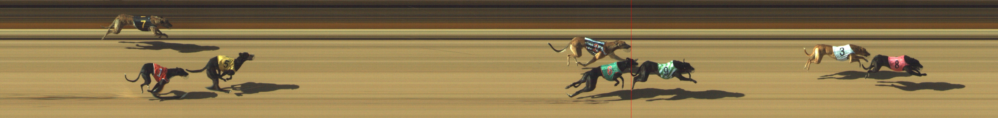 Photo finish for Geelong Race 1