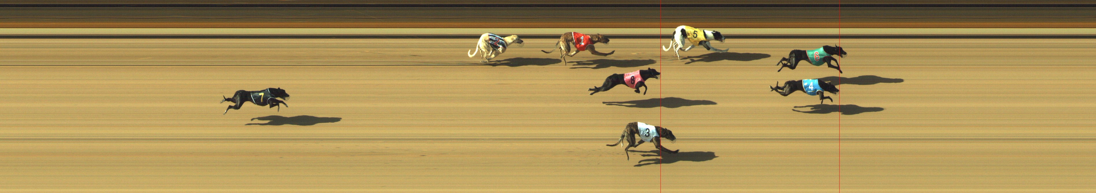 Photo finish for Geelong Race 2