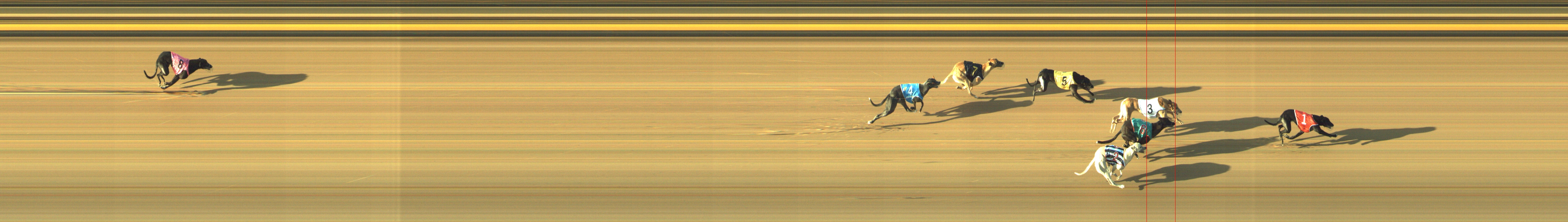 Photo finish for Geelong Race 5