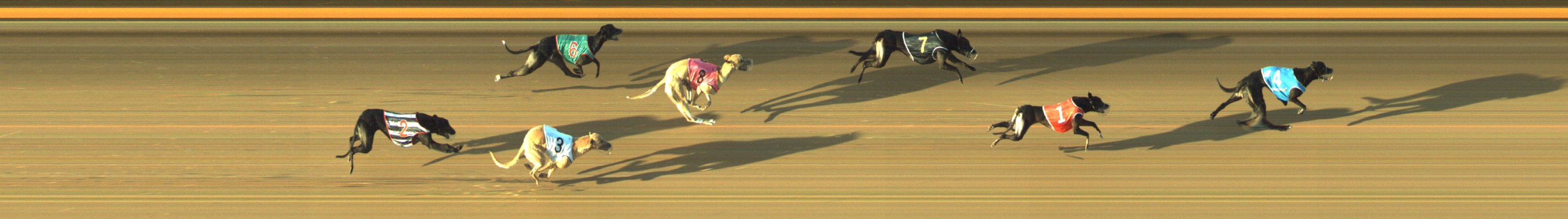 Photo finish for Geelong Race 6