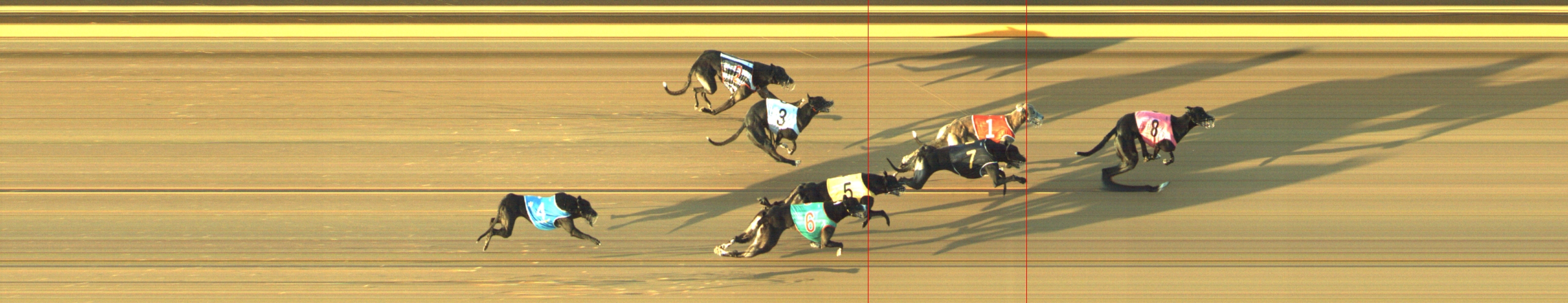 Photo finish for Geelong Race 7