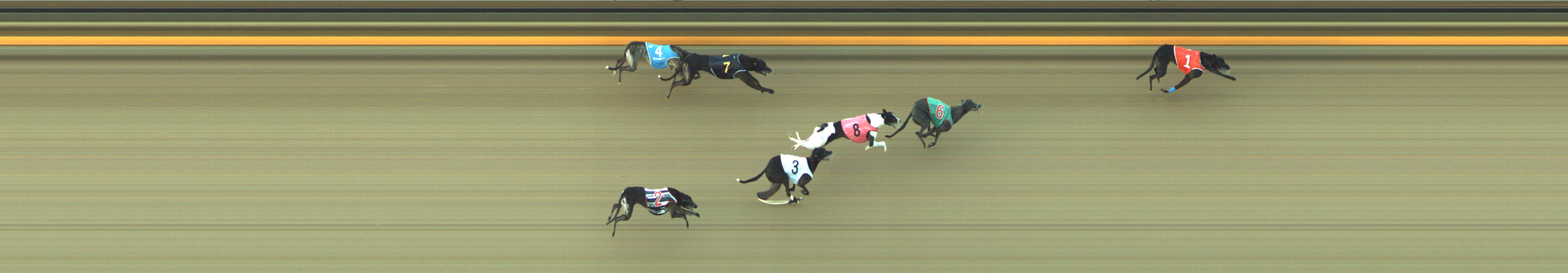 Photo finish for Geelong Race 8