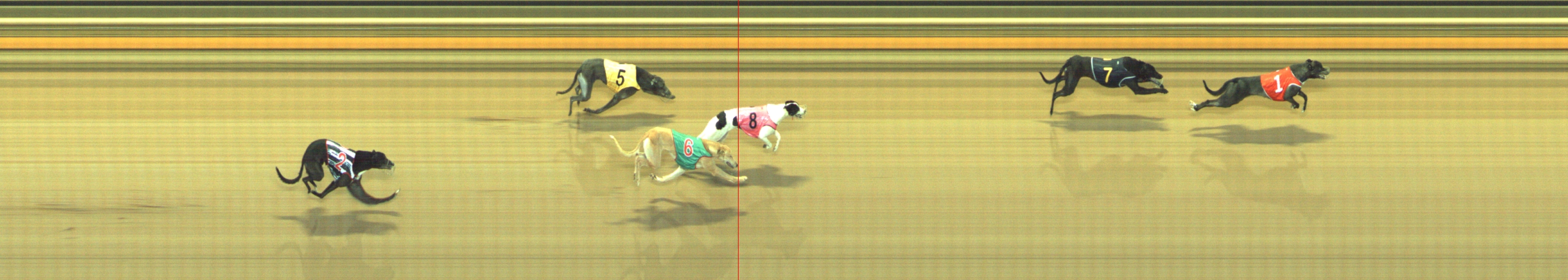 Photo finish for Geelong Race 9