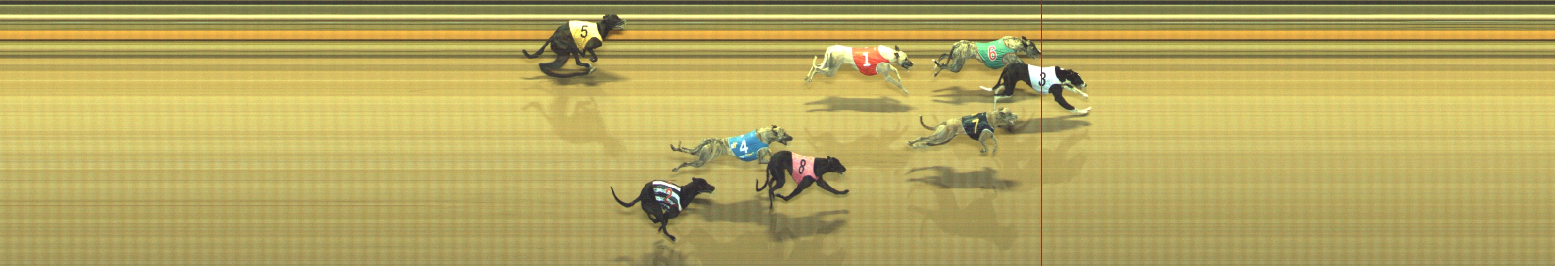 Photo finish for Geelong Race 10