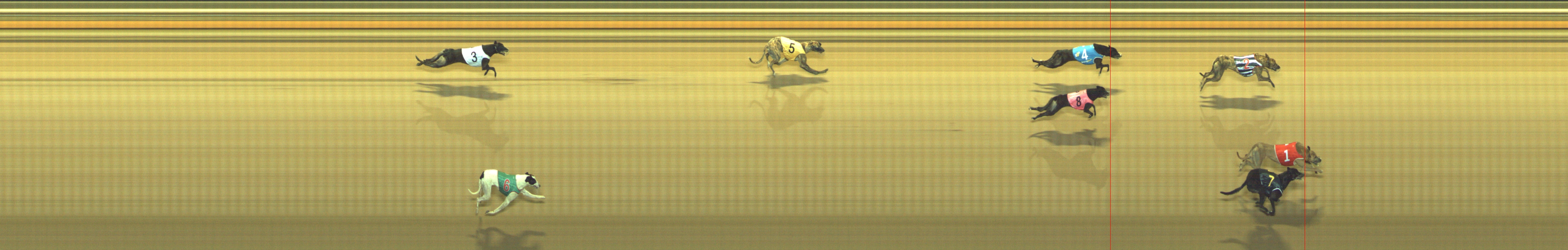 Photo finish for Geelong Race 11