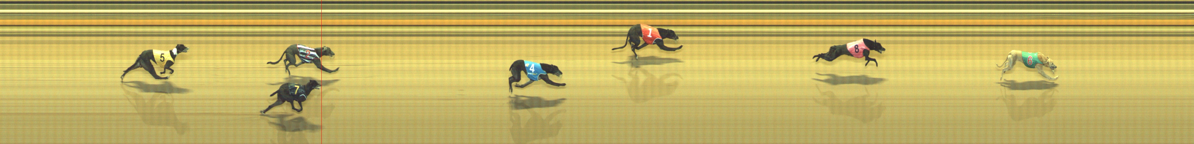 Photo finish for Geelong Race 12