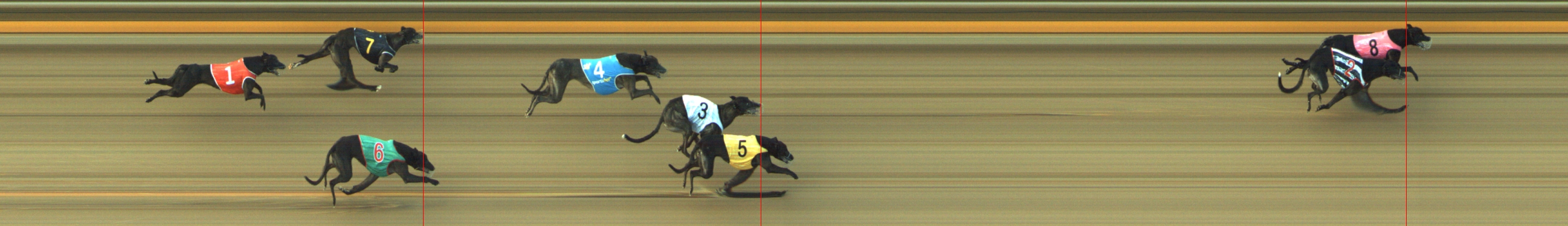 Photo finish for Geelong Race 3