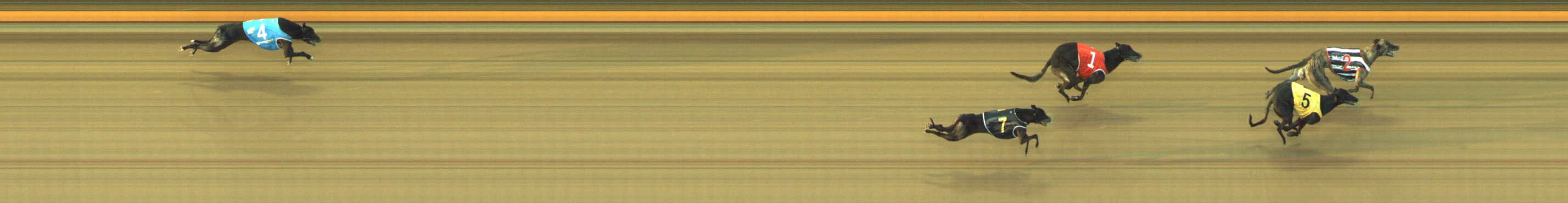 Photo finish for Geelong Race 4
