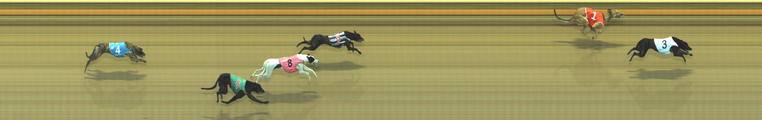 Photo finish for Geelong Race 5