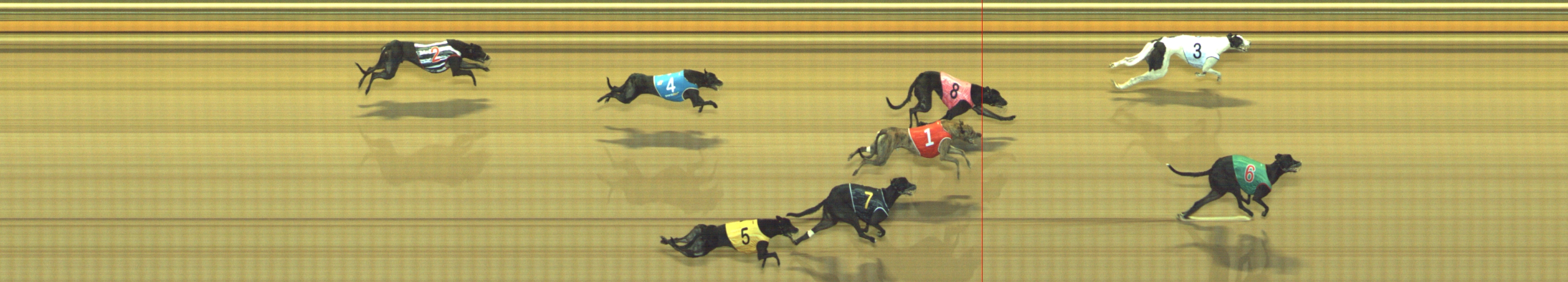 Photo finish for Geelong Race 6