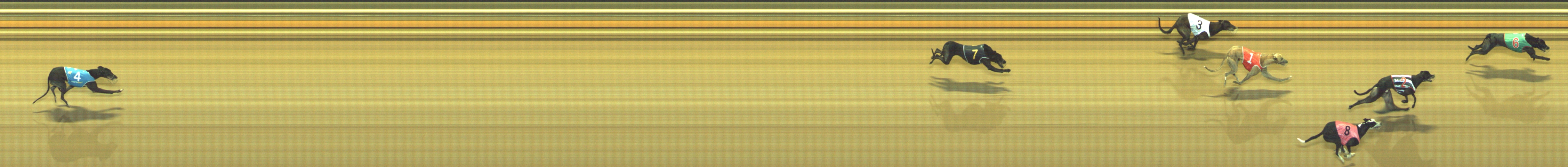 Photo finish for Geelong Race 7