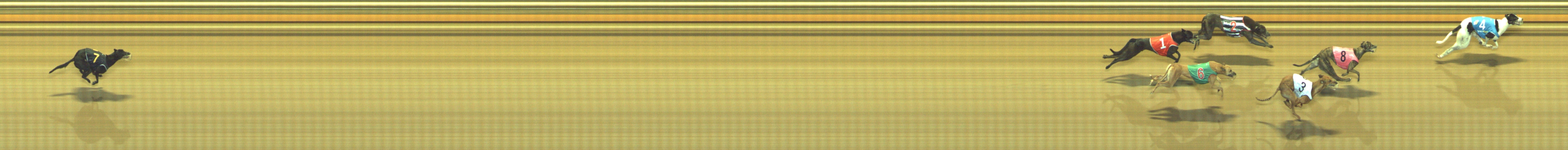 Photo finish for Geelong Race 8