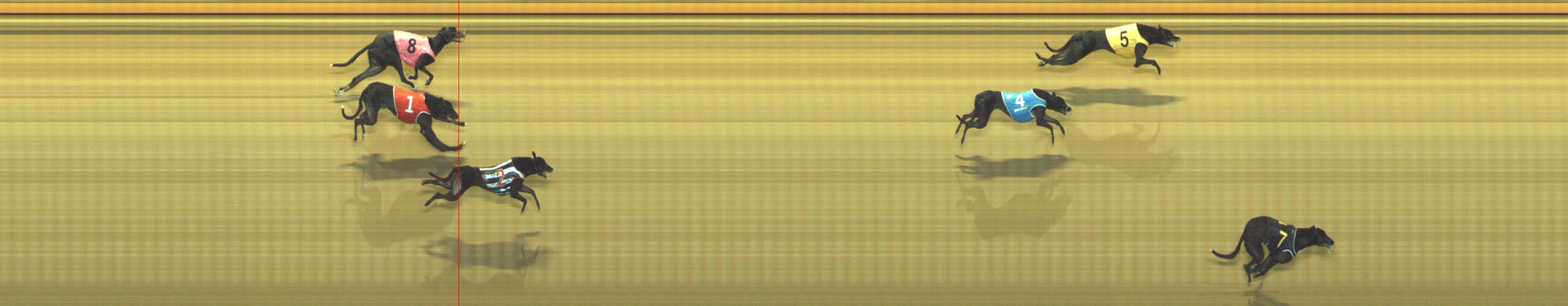 Photo finish for Geelong Race 10
