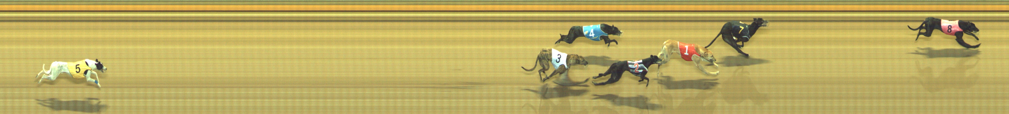 Photo finish for Geelong Race 11