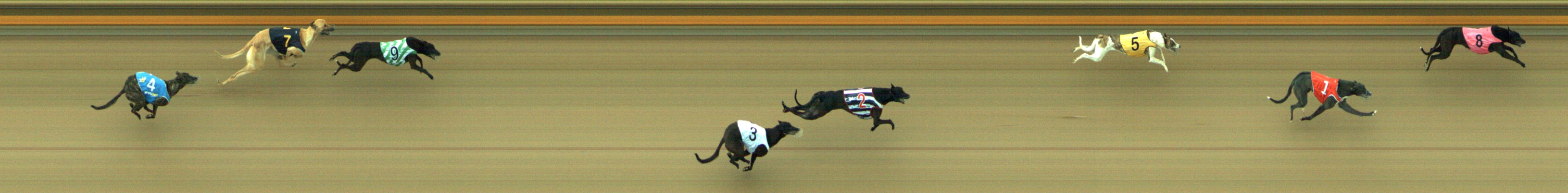 Photo finish for Geelong Race 2