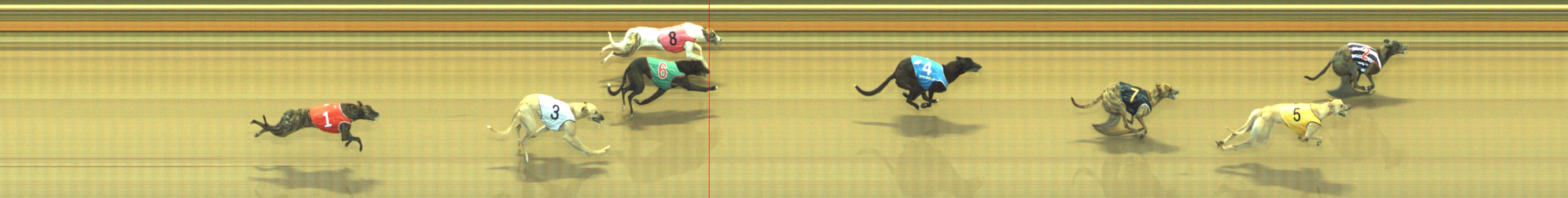 Photo finish for Geelong Race 3