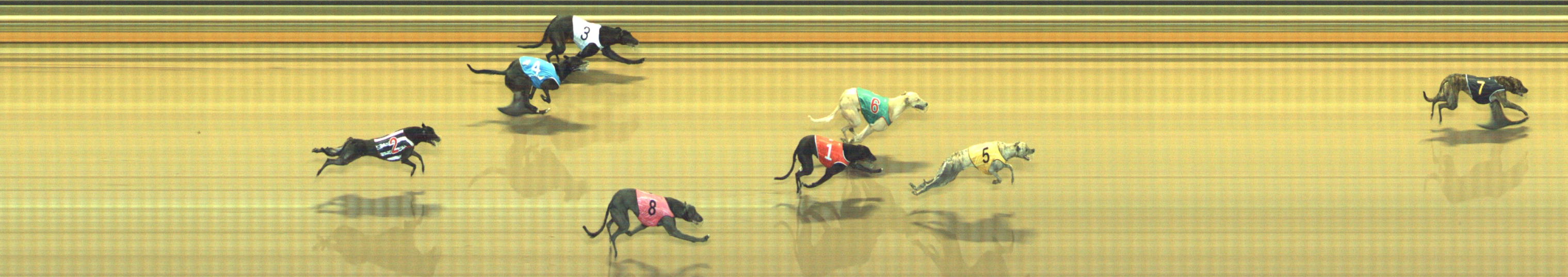 Photo finish for Geelong Race 4