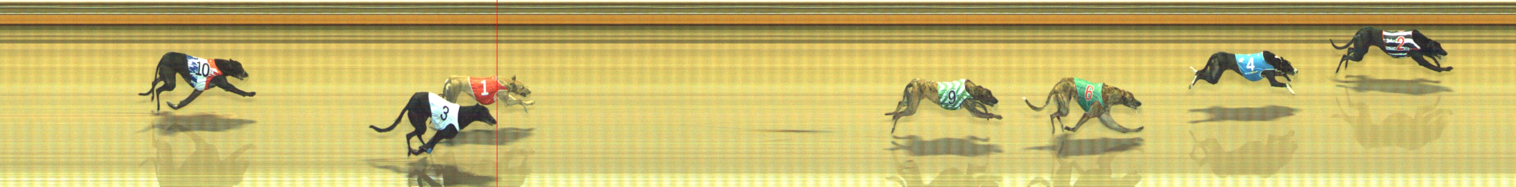Photo finish for Geelong Race 5