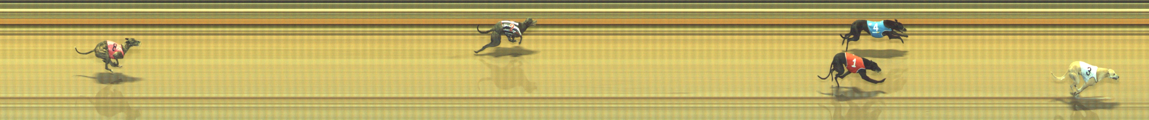 Photo finish for Geelong Race 6