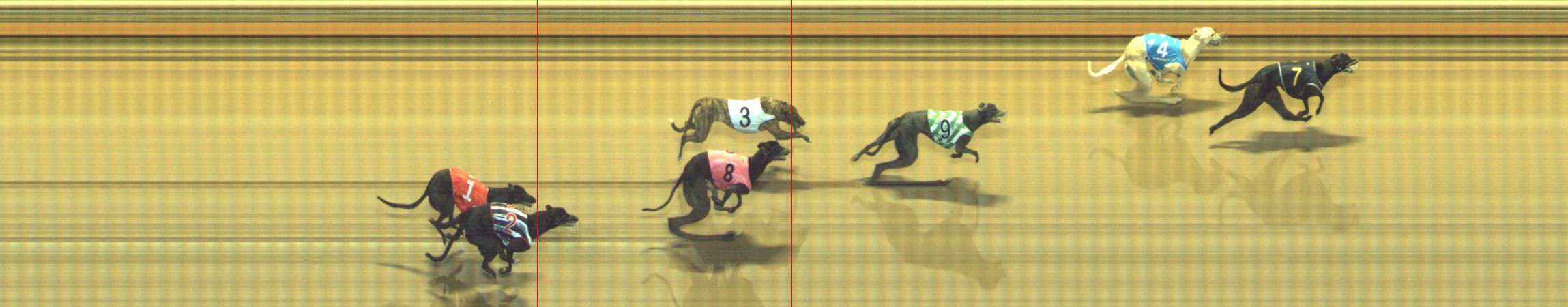 Photo finish for Geelong Race 7