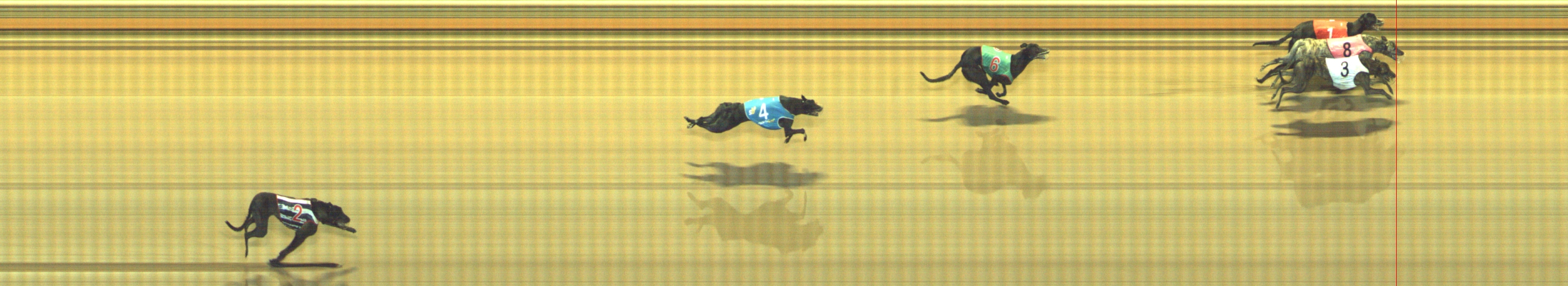 Photo finish for Geelong Race 9