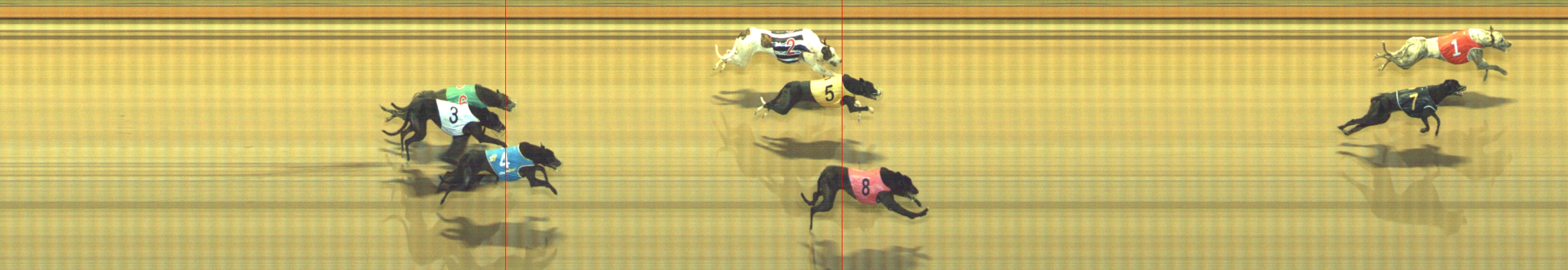 Photo finish for Geelong Race 10
