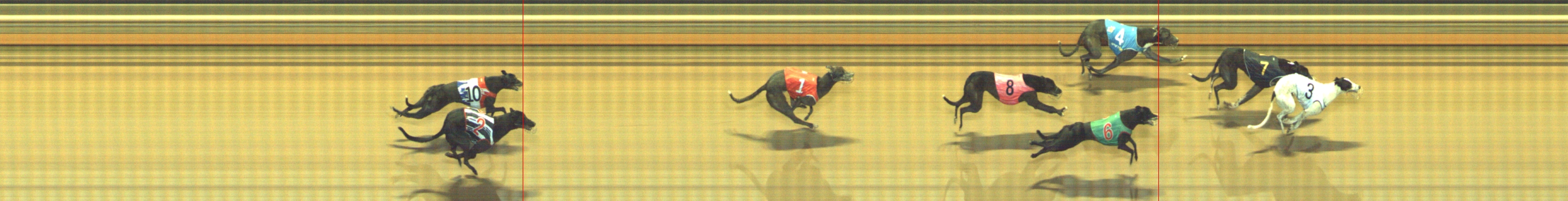 Photo finish for Geelong Race 11