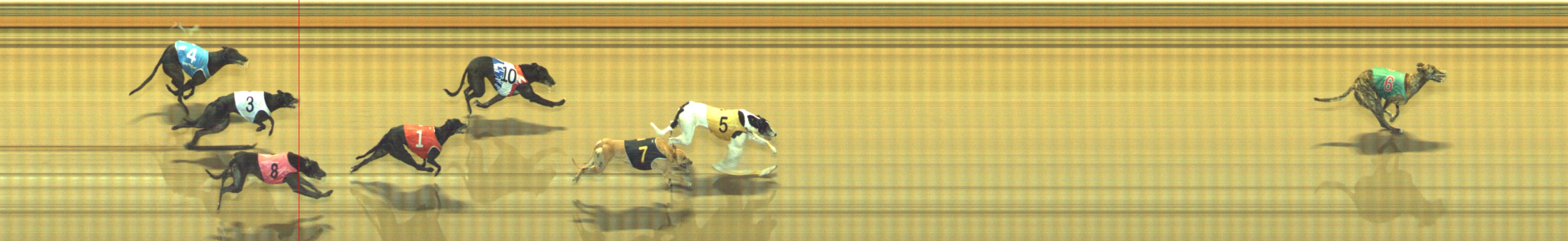 Photo finish for Geelong Race 12
