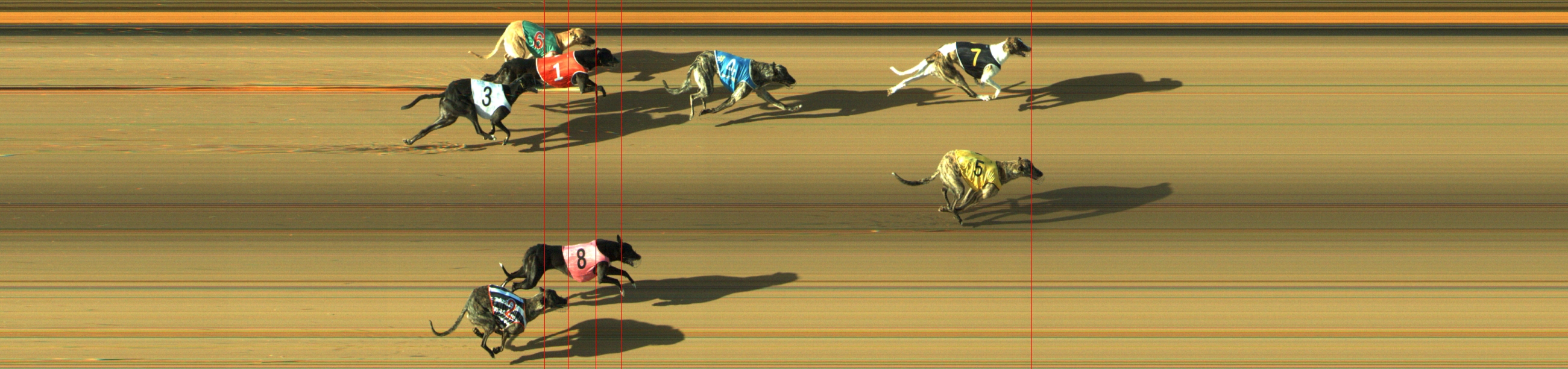 Photo finish for Geelong Race 1
